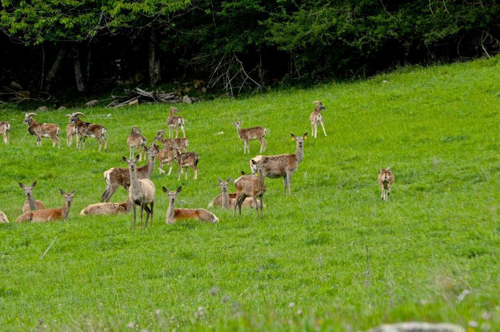 Il Passeggere Bauernhof
